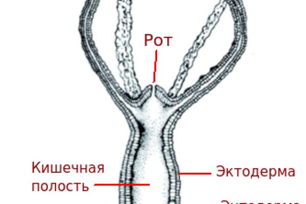 Мегу сделали