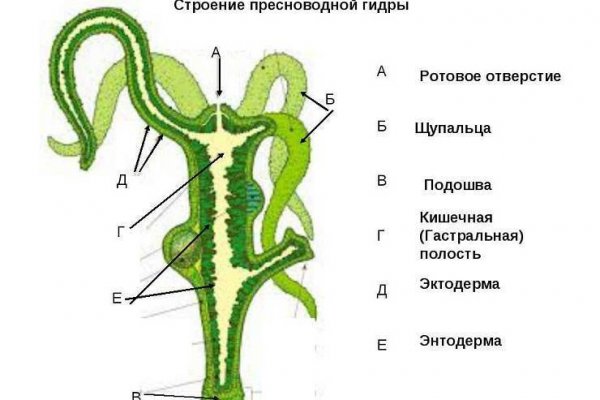 BlackSprut вы забанены почему